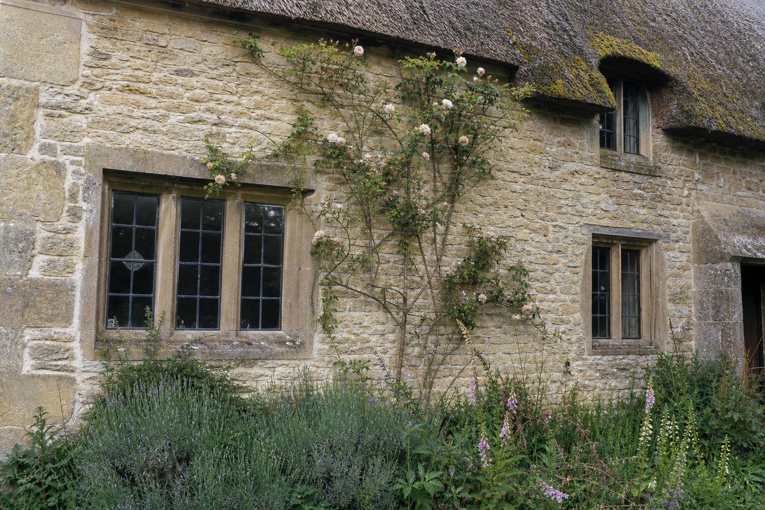 Elmstone Cottage